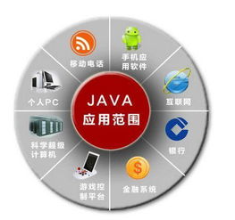 西安網(wǎng)站開發(fā),java和php兩種開發(fā)語言,應(yīng)該選哪一種,你知道嗎