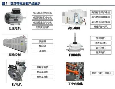 啟動會 | 攜手全球電驅龍頭,瑞泰信息助力臥龍電驅全球營銷數字化升級
