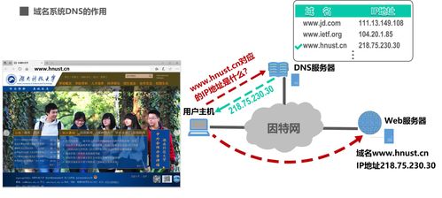 計算機網絡 第6章 應用層